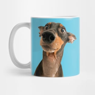 Funny Dog Look Mug